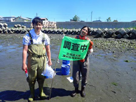 北海道東部、厚岸湖でアマモの調査、実施しました！