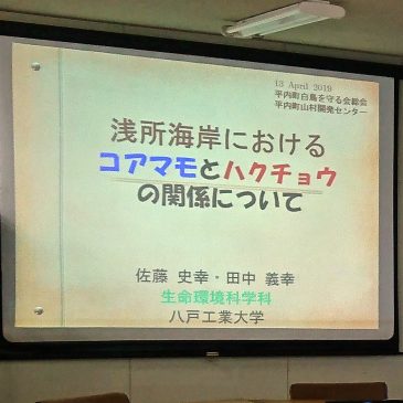 「平内町白鳥を守る会」総会において、田中教授が講演しました！