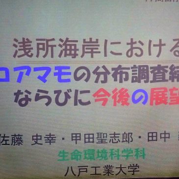 平内町の「ハクチョウのまち再生事業」実行委員会において、田中教授が講演しました！